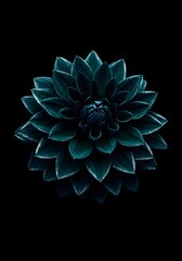 Emerald Dahlia Portrait: Captivating Close-Up of Teal Bloom with Intricate Petal Detail on a Deep Black Backdrop