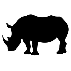 Silhouette of a Strong and Ancient Rhinoceros Grazing Peacefully on the Plains