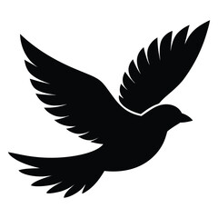 Bird flying silhouette freedom sky