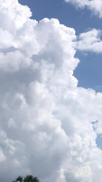 blue sky with clouds