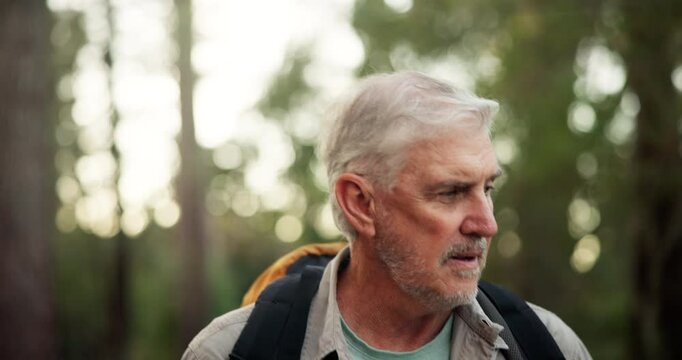 Hiking, mature man and walk in forest for fitness adventure, retirement hobby and cardio wellness. Senior person, smile and happy with backpack for trekking, explore and holiday sightseeing in woods