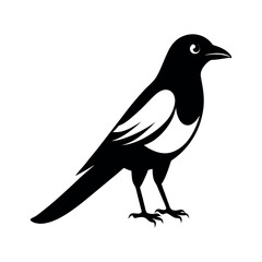Eurasian Magpie Bird Vector Silhouette