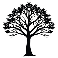 Obraz premium Tree silhouette isolated white background