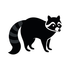 Raccoon Wildlife Vector Illustration