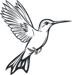 Black and white line art illustration of a hummingbird in flight with detailed wings and feathers