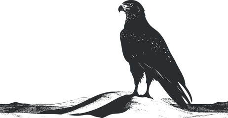 Black and white illustration of a majestic eagle perched on a hill, symbolizing strength and wildlife. © vadymstock