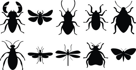Dark Bug Outlines