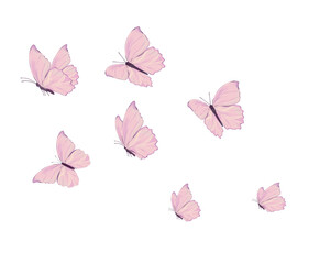 pink butterfly watercolor hand drawn design 