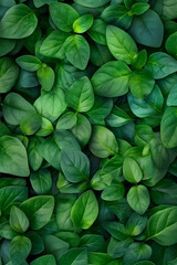Full frame of vibrant green leaves creating natural plant texture. Botany and freshness concept.