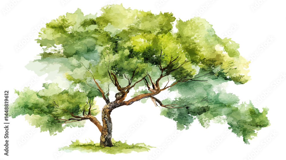 Poster vector abstract watercolor tree side view isolated on white background for landscape plan and archit