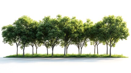 Row Of Lush Green Trees On A Grassy Bank High Resolution Photo