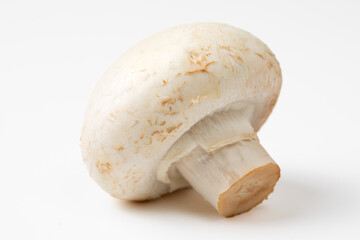 Mushroom isolated on white background