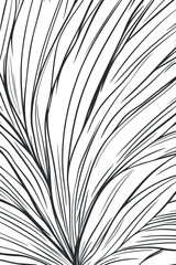 Obraz premium Abstract black and white curved lines creating a flowing organic pattern background