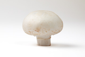Mushroom isolated on white background
