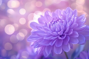 Light Purple Ethereal Background with Glowing Bokeh and Soft Bloom Effects