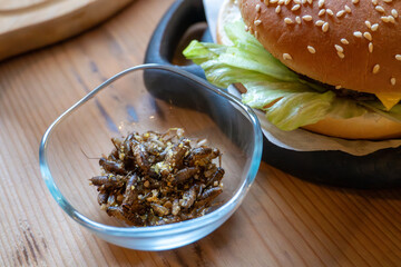 Bowl of roasted crickets and burger on wooden table - unconventional cuisine