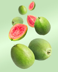 Fresh guava fruits falling on light green background