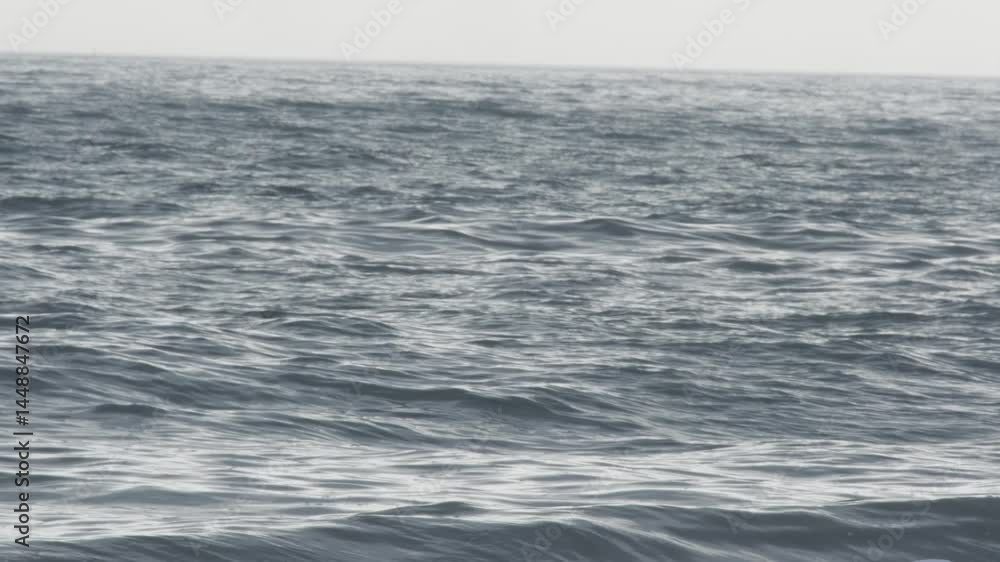 Canvas Prints soft ocean waves rolling gently, creating mesmerizing rhythm across vast blue surface, revealing ser
