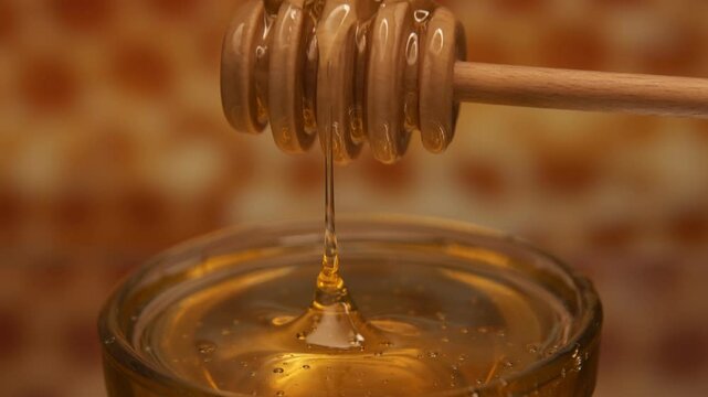 honey drops from wooden honey stick