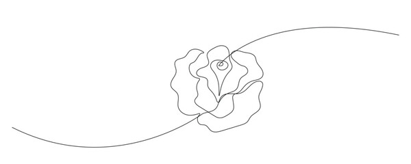 Line Art Flower Silhouette. One Continuous Curve Outline Floral Decoration. Simple Plant Contour Design. card or Invitation Hand Drawn Ornamental Element. Nature Beauty Theme Concept.