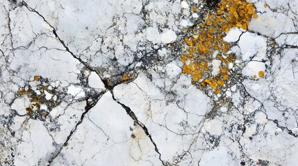Fototapeta premium A close-up shot of white marble with intricate crack patterns and golden accents, creating a unique and textured surface aesthetic.