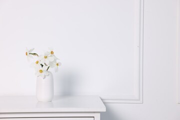 Beautiful daffodils in vase on cabinet near white wall at home. Space for text
