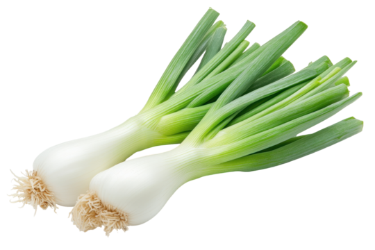 Fresh green onions arranged on a transparent background for culinary use in various recipes or food preparation tasks