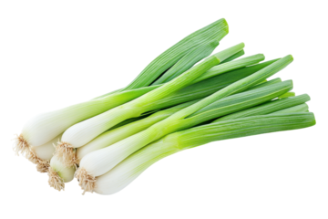 Fresh green onions arranged on a transparent background for culinary use in various recipes or food preparation tasks
