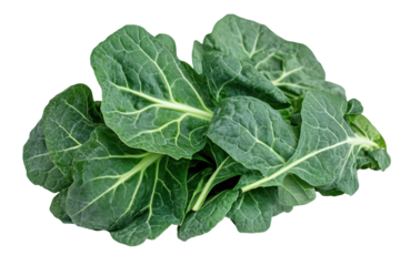 Fresh green collard greens with vibrant leaves against a transparent background ready for cooking or salad preparation