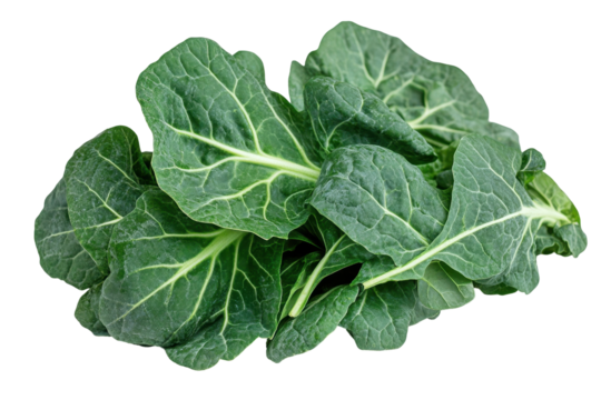 Fresh green collard greens with vibrant leaves against a transparent background ready for cooking or salad preparation