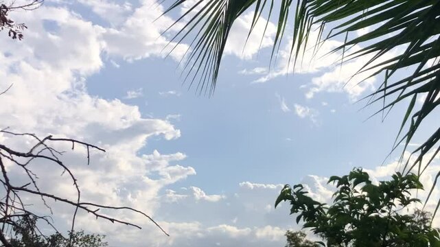 Cloud and sky