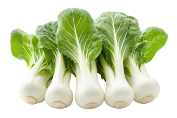 Fresh and vibrant bok choy arranged in a row on a transparent background suitable for culinary or health-related applications