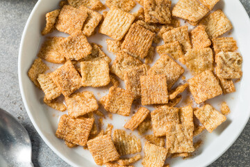 Healthy Cinnamon Sugar Breakfast Cereal