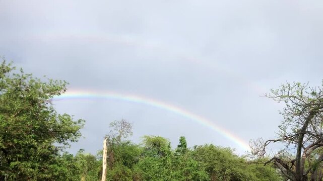 rainbow in the sky