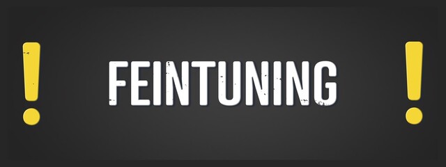 Feintuning (Fine tuning) - A blackboard illustration with white text.