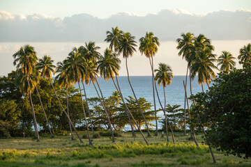 Fototapeta premium Rincon, Puerto Rico