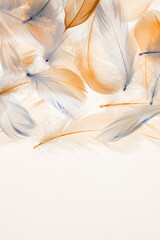 Feather Pattern in Soft Colors. Abstract Composition of Colorful Feathers. Feathers surface. 