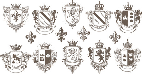 Heraldic Lion. Medieval coat of arms. Lys De Fleur. Crest depicting a lion's flank supporters shield. Knights helmet design. Vintage retro style. Engraving Royalty Emblem. Heraldy King Icon