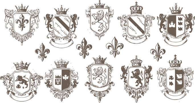 Heraldic Lion. Medieval coat of arms. Lys De Fleur. Crest depicting a lion's flank supporters shield. Knights helmet design. Vintage retro style. Engraving Royalty Emblem. Heraldy King Icon