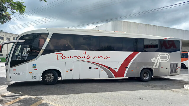Paraibuna bus at stopping point at day