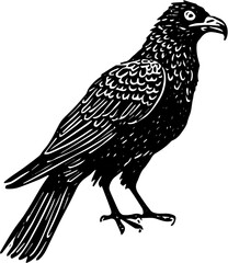 bird on a white background