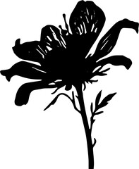black and white flower