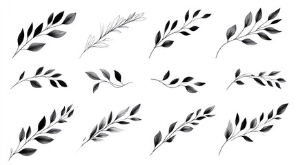 Collection of Elegant Hand-Drawn Botanical Illustrations: Black and White Line Art of Twigs and Leaves