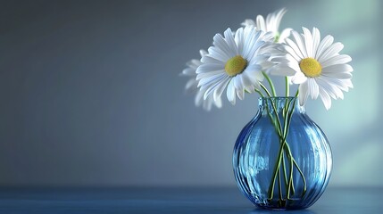 Elegant arrangement of three white daisies in a blue glass vase on a table generative ai © Photo