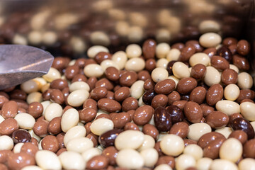 Variety of chocolate-covered candies displayed in a candy shop during the afternoon