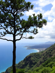 Obraz premium Majaguas hill, Pacific lookouts, Lo de Marcos village, Riviera Nayarit, Pacific Ocean, Nayarit State, Mexico, Central America, America