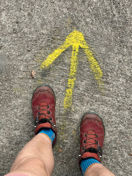 Hiker's Path Forward: Yellow Arrow on Trail