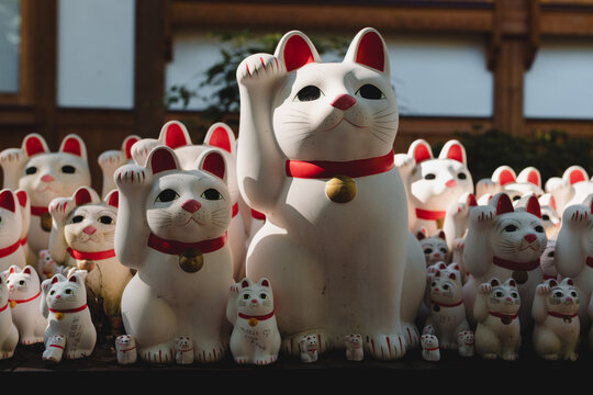 A collection of Maneki-neko cats in different sizes