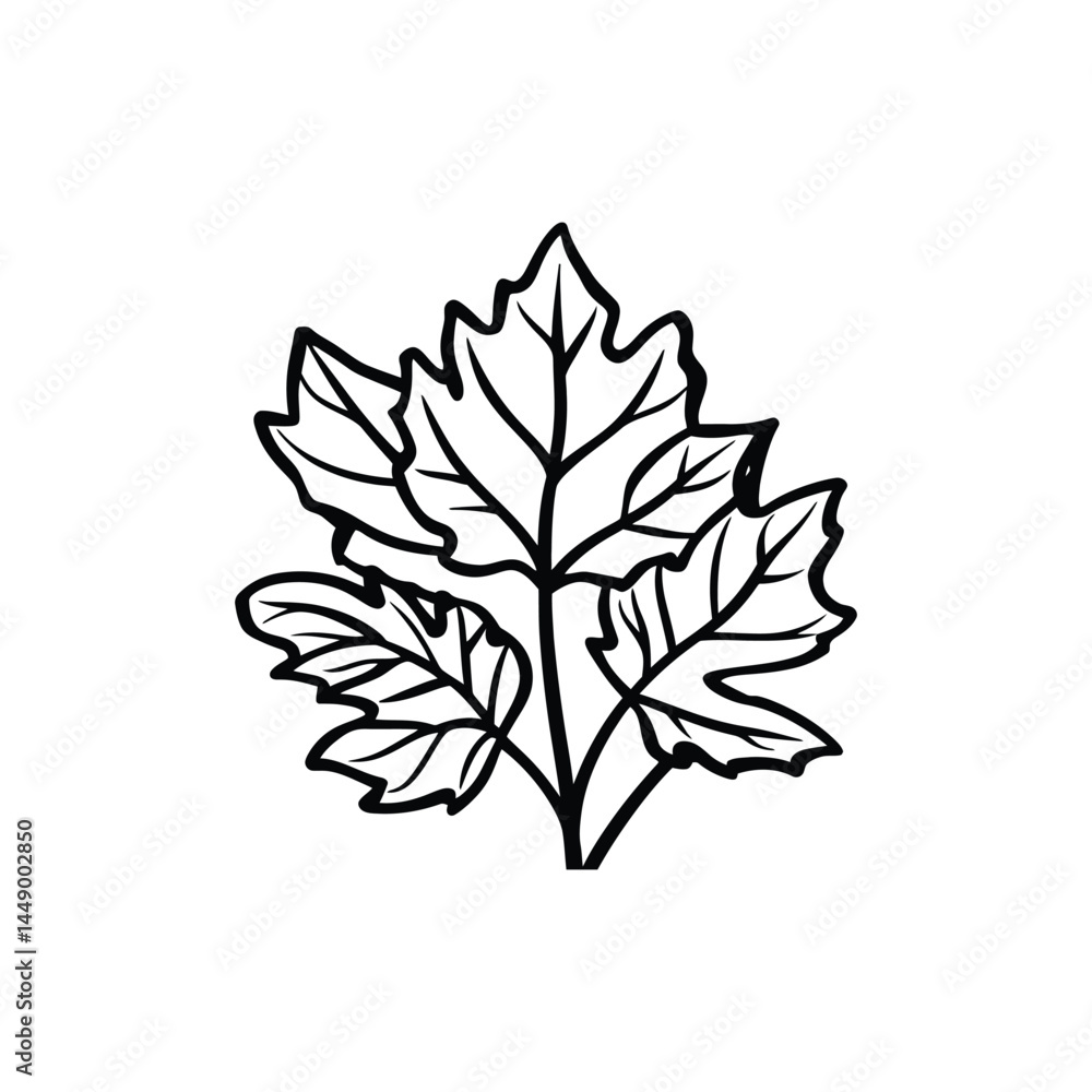 Poster maple leaves outline design with transparent background, isolated botanical element
