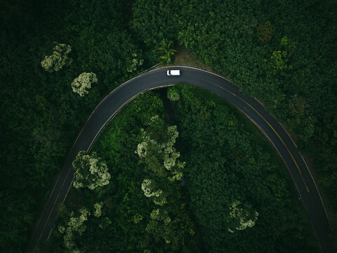 Top down aerial view of curvy road in tropical jungle forest 